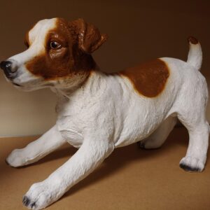 Jack russel bruin