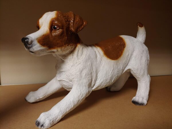 Jack russel bruin