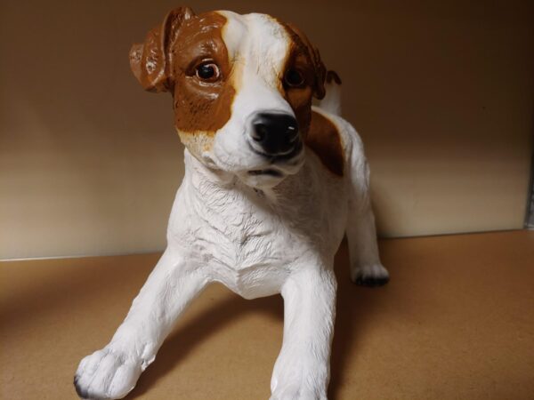Jack russel bruin - Afbeelding 2