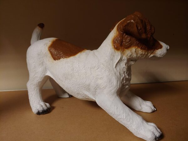 Jack russel bruin - Afbeelding 3