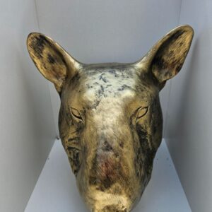 Engelse bulterrier kop