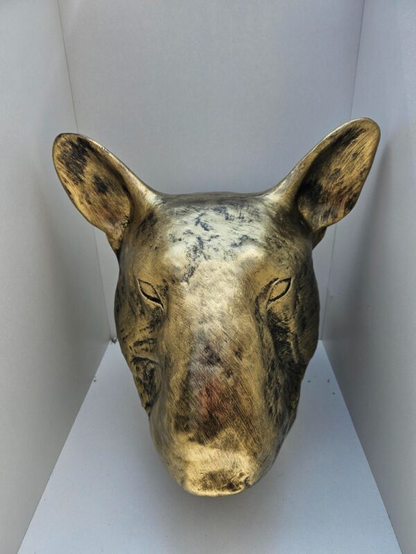 Engelse bulterrier kop