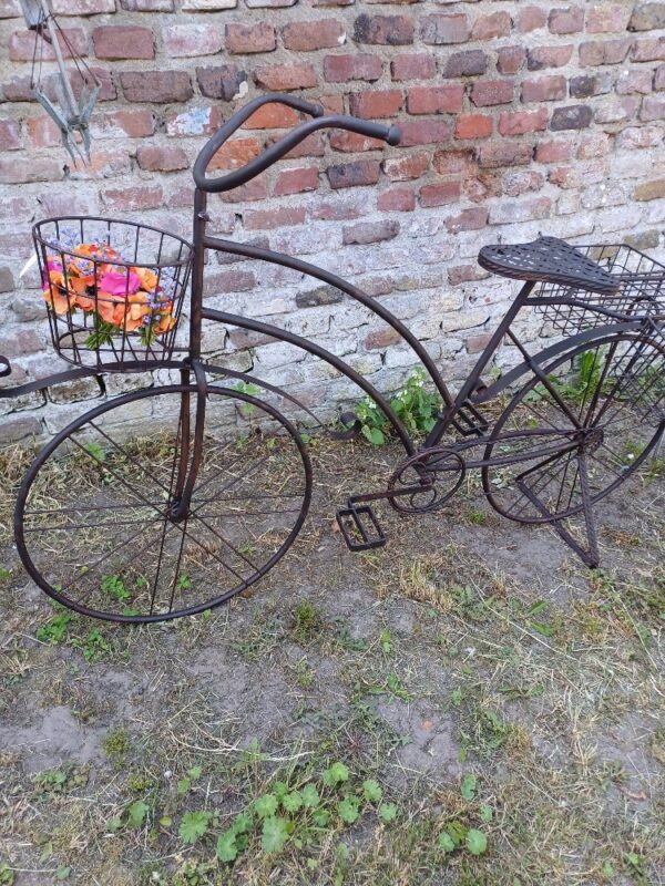 Tuinbloemen fiets
