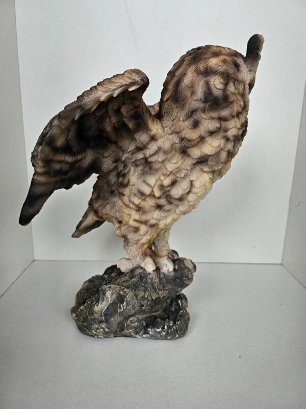 Uil bruin - Afbeelding 2