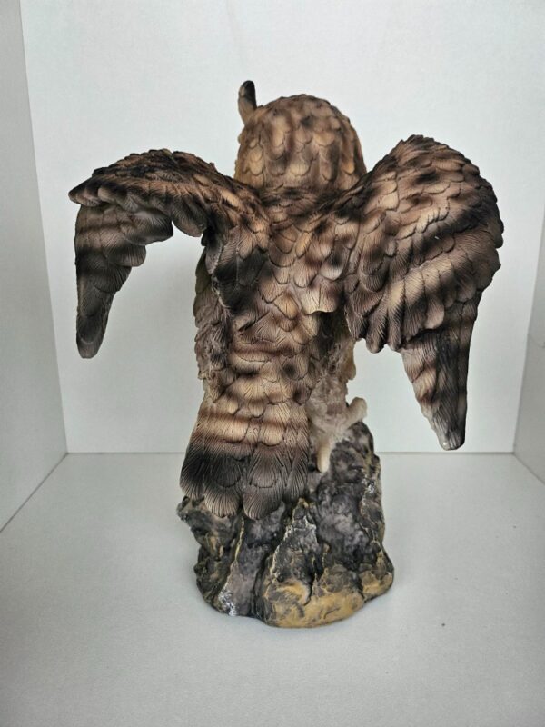 Uil bruin - Afbeelding 4