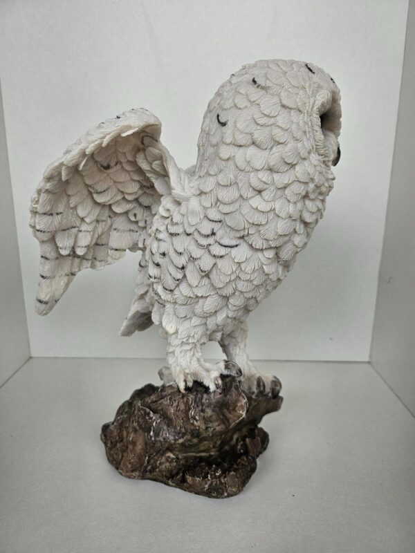 Uil wit - Afbeelding 2
