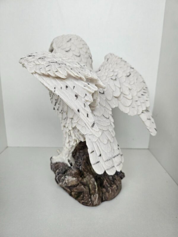 Uil wit - Afbeelding 4