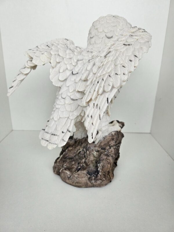 Uil wit - Afbeelding 3