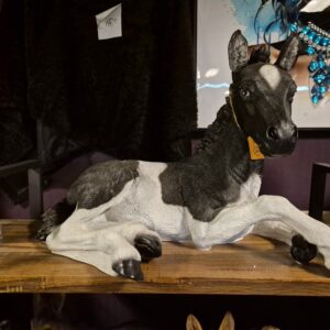 Veulen van Polystone