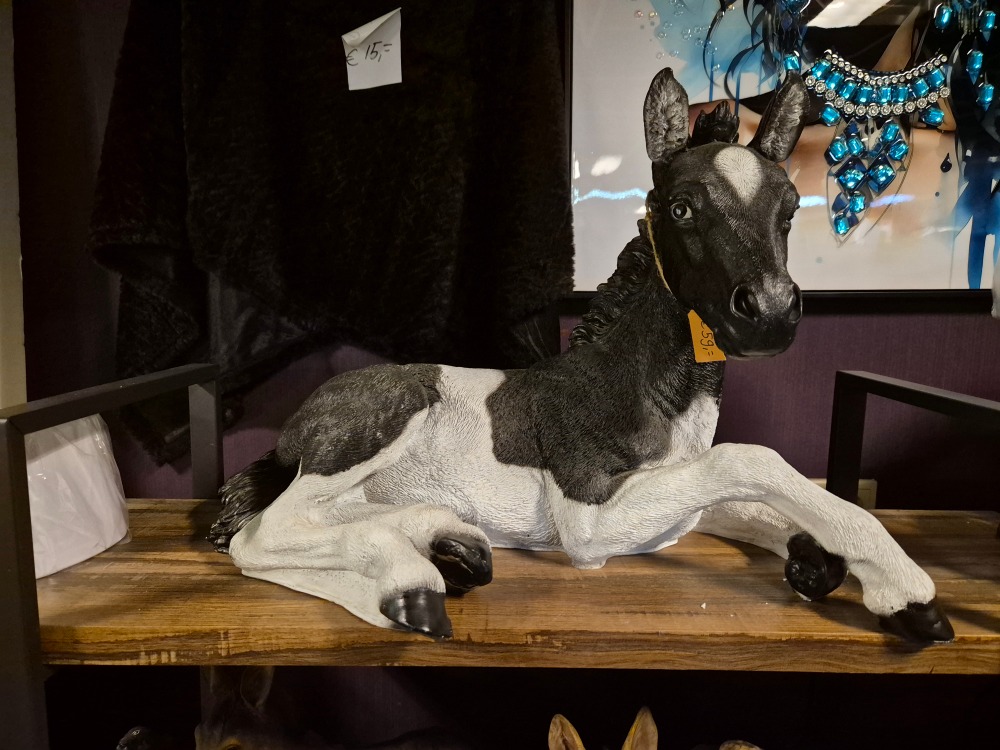 Veulen van Polystone