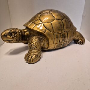 Goudkleurige schildpad